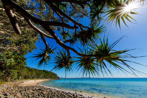 Noosa Caravan Park - Accommodation Bookings 2