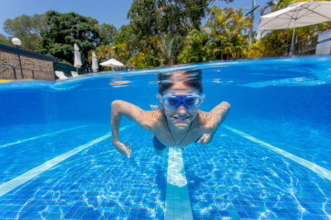 Noosa Caravan Park - Accommodation Bookings 4