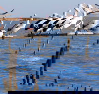 Pelican Perch Retreat - Accommodation Bookings