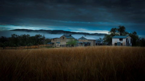 Roseneath  Farm Stay - Accommodation Bookings 3