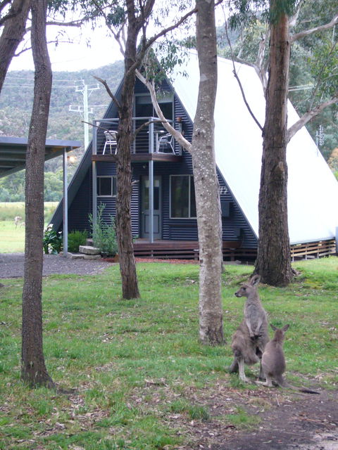 The A-Frame - Accommodation Bookings 0