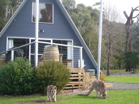 The A-Frame - Accommodation Bookings 9