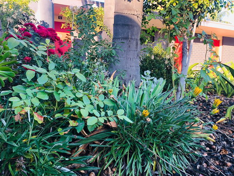 Albury Garden Court Motel - Accommodation Bookings 1