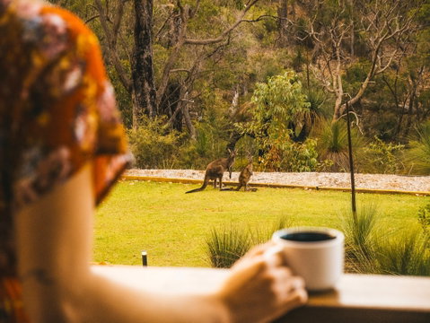 Bina Maya Yallingup Escape - Accommodation Bookings 4