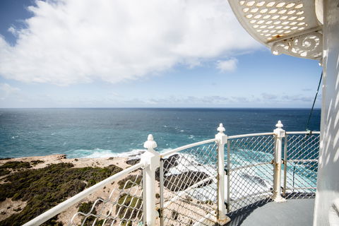 Cape Nelson Lighthouse - Accommodation Bookings 1