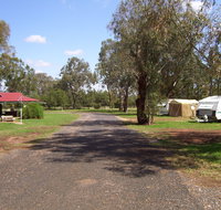 Dunedoo Caravan Park - Accommodation Bookings