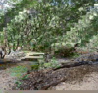 Eungella National Park camping - Accommodation Bookings