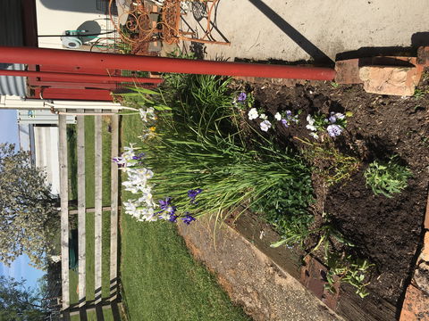 Fairview Bed And Breakfast Cottage - Accommodation Bookings 2