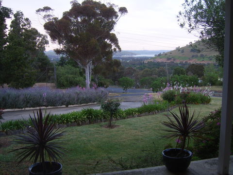 Garden Motor Inn (Golden Chain) - Accommodation Bookings 3