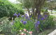 Garden Motor Inn (Golden Chain) - thumb 7