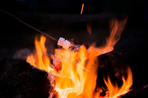 Glenworth Valley Outdoor Adventures Camping - Accommodation Bookings 4