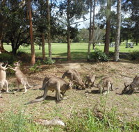 Golf View Motel - Accommodation Bookings