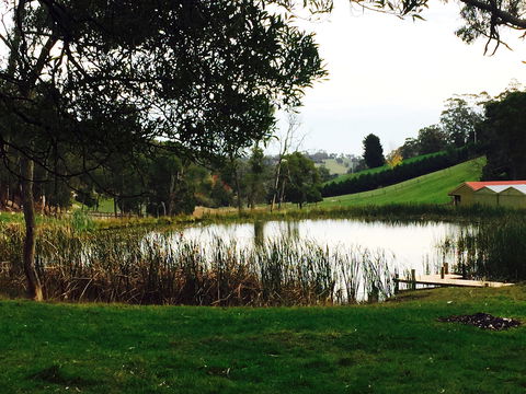 Gracefield Estate - Accommodation Bookings 0