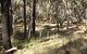 Greenbah Campground - thumb 0