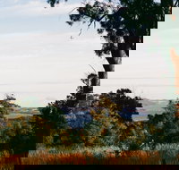 Hilltop Barn at Swan Bay - Accommodation Bookings