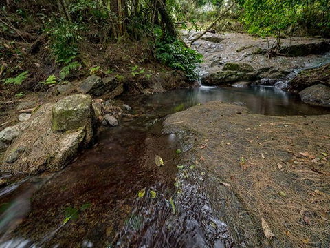 Jacky Barkers Campground - Accommodation Bookings 1