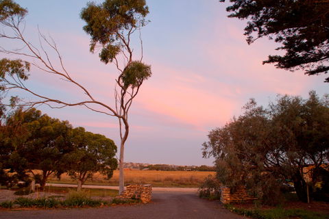 Jimmy Smith's Dairy - Accommodation Bookings 9
