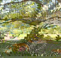 Nimbin Rox YHA - Accommodation Bookings