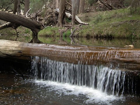 Silent Creek Campground - Accommodation Bookings 1