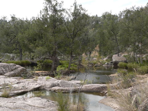 Terab Park Farm - Accommodation Bookings 6