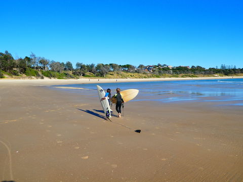 The View In Scotts Head - Accommodation Bookings 8