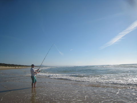 The View In Scotts Head - Accommodation Bookings 9