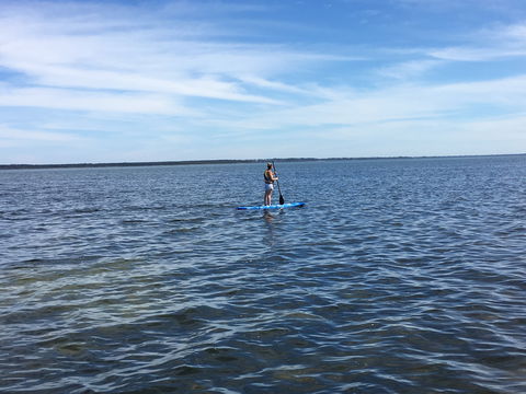 Waterfront Retreat At Wattle Point - Accommodation Bookings 3