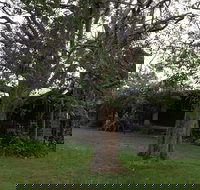 Wonga - Accommodation Bookings