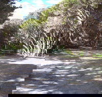 3 Mile Bend Campground - Beachport Conservation Park - Accommodation Bookings