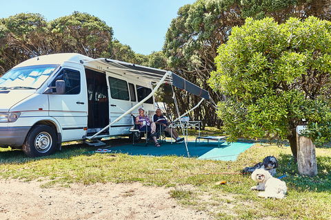 Anglesea Family Caravan Park - Accommodation Bookings 2