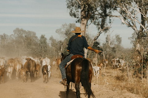 Bullo River Station - Accommodation Bookings 0