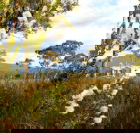 Buttongrass Retreat - Accommodation Bookings