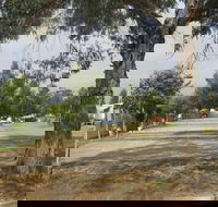 Country Acres Caravan Park - Accommodation Bookings