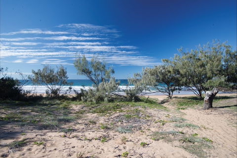 Deepwater National Park Camping - Accommodation Bookings 0