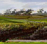 Estate Tuscany - Accommodation Bookings