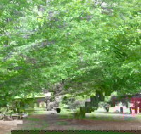 Hill End Holiday Ranch - Accommodation Bookings