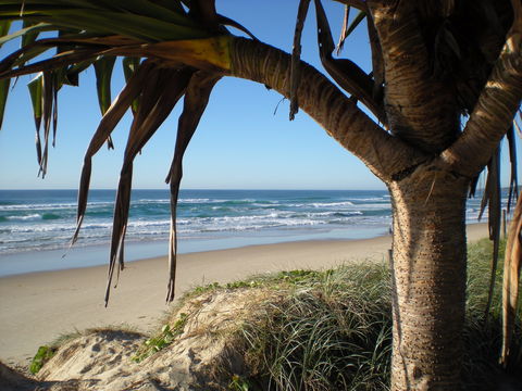 Horizons At Peregian - Accommodation Bookings 0