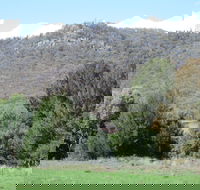 Jessica's Guest House and Vineyard - Accommodation Bookings
