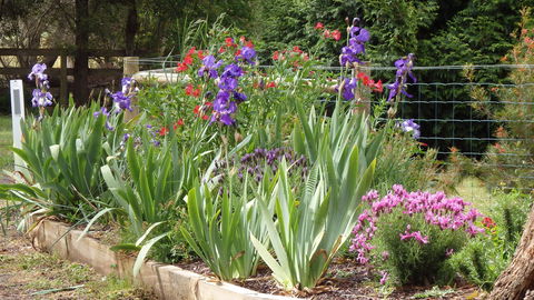Karoola Cottage - Accommodation Bookings 1