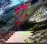 Linley House Bed and Breakfast - Accommodation Bookings