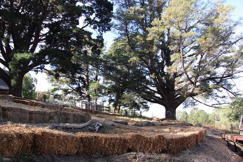 Longwood Retreat - Accommodation Bookings 0