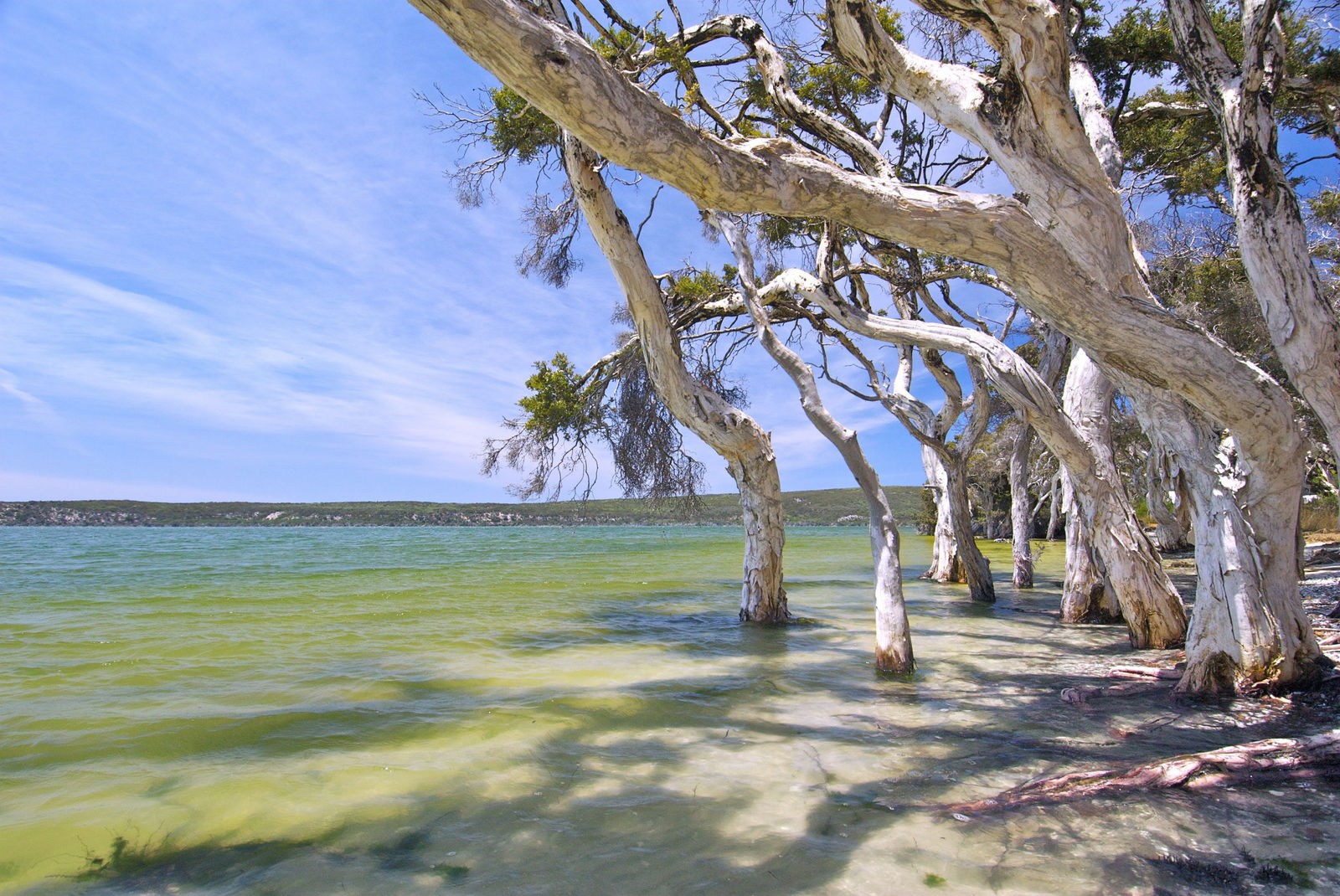  Accommodation Bookings
