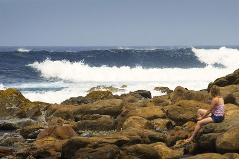Margaret Cove Camp At Stokes National Park - Accommodation Bookings 1