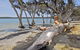 Margaret Cove Camp At Stokes National Park - thumb 2