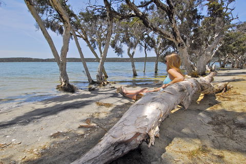 Margaret Cove Camp At Stokes National Park - Accommodation Bookings 2