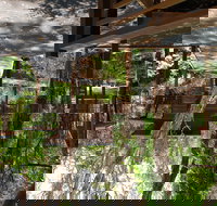 Melaleuca Surfside Backpackers - Accommodation Bookings