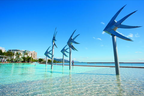 NRMA Cairns Holiday Park - Accommodation Bookings 1