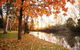 Reflections Holiday Park Cudgegong River - Temporarily Closed - thumb 1