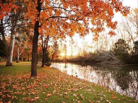 Reflections Holiday Park Cudgegong River - Temporarily Closed - Accommodation Bookings 1