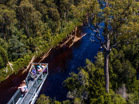 Tahune Adventures Tasmania - Lodge And Cabin - Accommodation Bookings 1